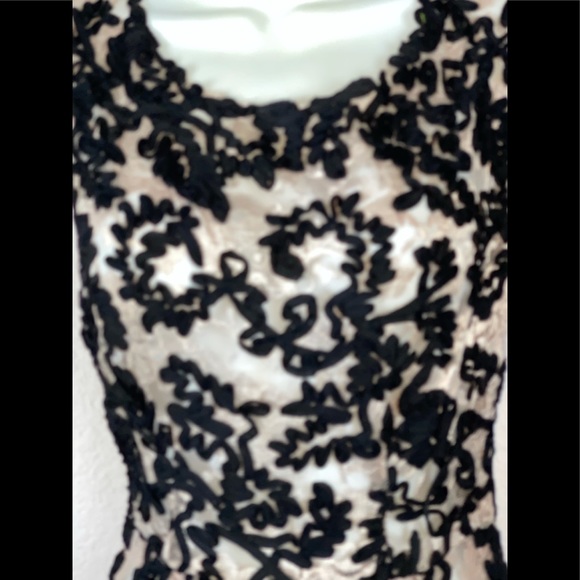 Yoana Baraschi Sheer W/full slip Lace & Ribbon Dress - Picture 5 of 9